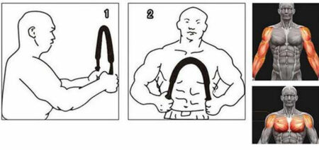 VENBER Barre De Torsion à Ressort De 70 Kg, Renforcement Des Bras Et De La Poitrine Très Résistants, Bras De Fer