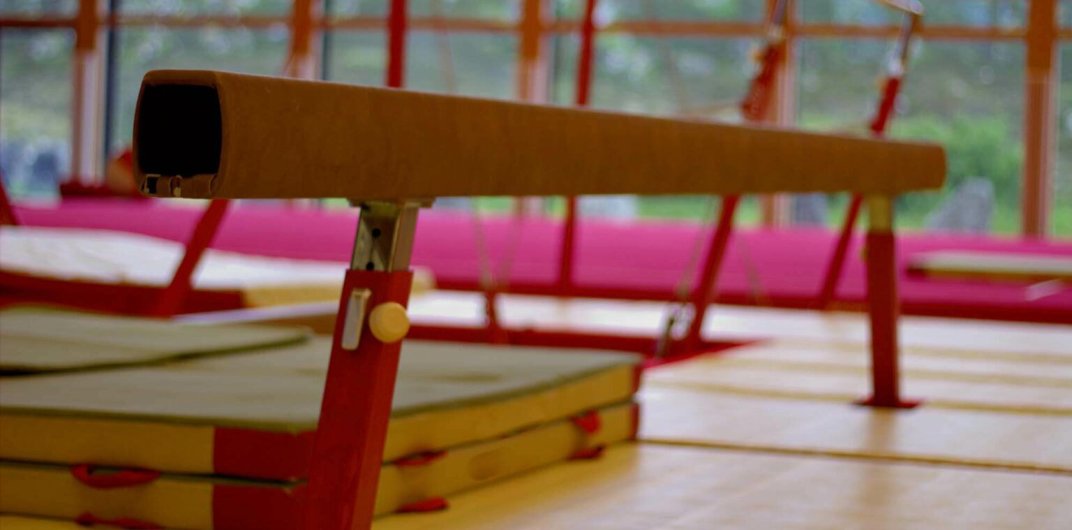GOPLUS Poutre d'Équilibre 210 cm, Poutre de Gymnastique Pliable, Poutre GOPLUS Poutre d'Équilibre 210 cm, Poutre de Gymnastique Pliable, Poutre