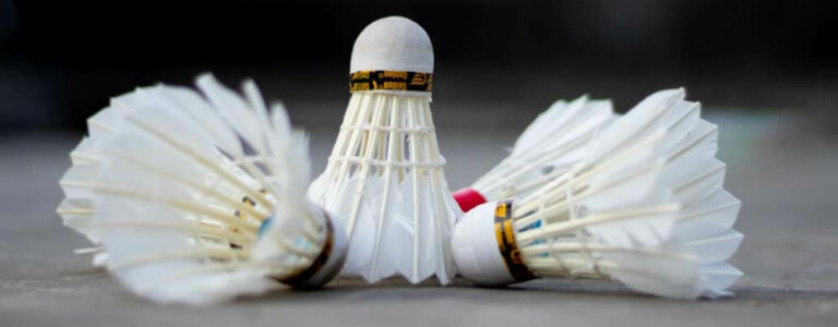 WPPQWP Lot De 12 Volants Badminton Nylon Coloré - Pour Enfants Et Débutants, Intérieur/extérieur, Couleurs Assorties