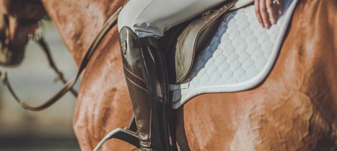Les meilleurs pantalons d’équitation en 2025 ! Avis d’un Pro ! meilleur pantalon équitation homme femme avis comparatif guide d'achat